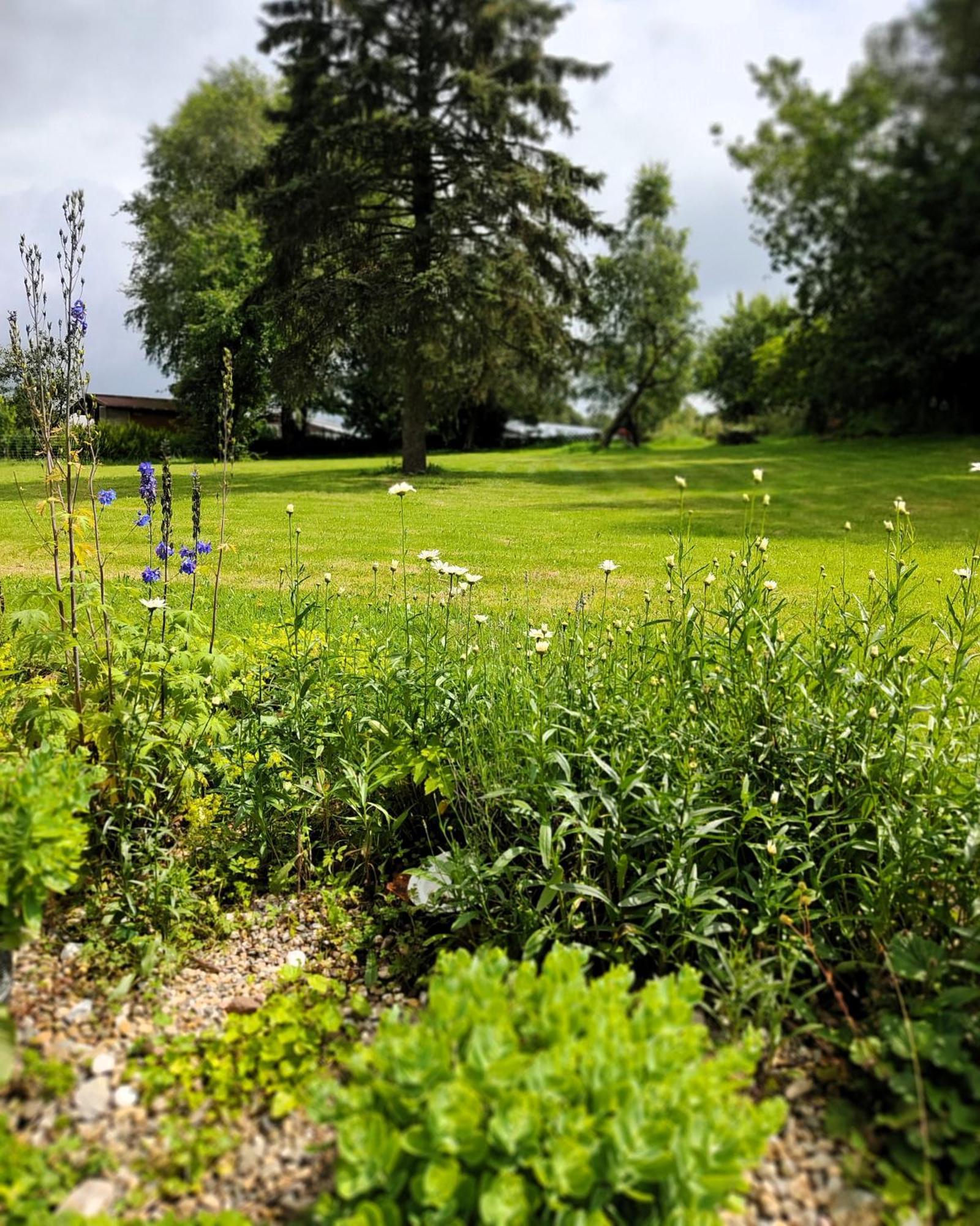 Gruenvogels Landgasthof Zum Gruenen Baum Oberzent Εξωτερικό φωτογραφία