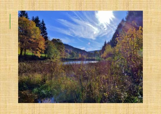 Gruenvogels Landgasthof Zum Gruenen Baum Oberzent Εξωτερικό φωτογραφία