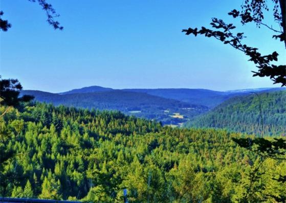 Gruenvogels Landgasthof Zum Gruenen Baum Oberzent Εξωτερικό φωτογραφία